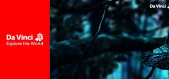 Дитинчата - Лінивці