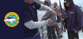 Gail Force, part 2 Gail Force, part 2