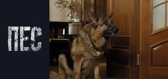 Dog, Season 2, Episode 24