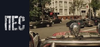 Dog, Season 3, Episode 16 Dog, Season 3, Episode 16