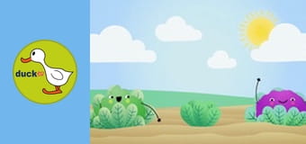 Happy Garden - Cauliflower