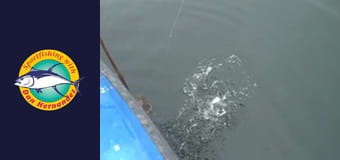 New Huck Finn, part 1 New Huck Finn, part 1