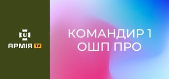 Командир 1 ОШП про наступ ЗСУ, Гуляйполе та ухилянтів. Донбас Реалії || Радіо Свобода.