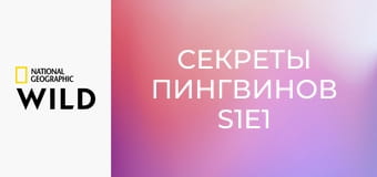 Секреты пингвинов S1E1