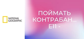 Поймать контрабандиста E11 - Наркоботинки