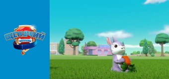 Щенячий патруль. Сезон 3 – серія 3