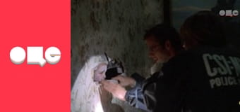 Т/с "CSI: Нью-Йорк", 4 сезон, 6 с.