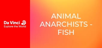 Animal Anarchists - Fish in Muddy Burrows