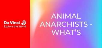 Animal Anarchists - What’s Living in This Cave?