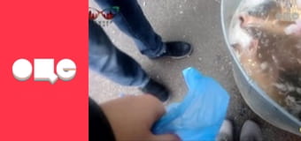 Таємний агент, 2 сезон, 6 еп. Таємний агент, 2 сезон, 6 еп.