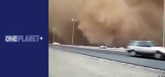 In search of knowledge. - episode 4