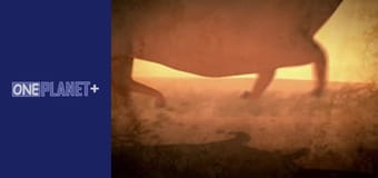 Подорож у Минуле, Випуск 3