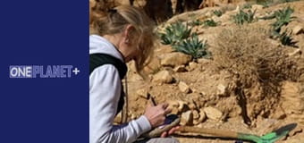 Unlocking the Past, Episode 3