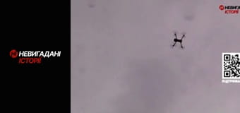 Невигадані історії. Бахмут. Рекси.