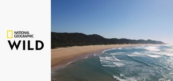 Смертоносная Африка S1E5 - Калахари