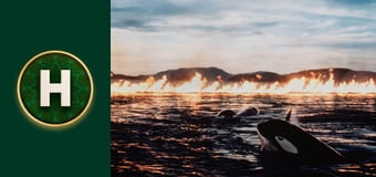 Звільніть Віллі 2: Пригоди вдома