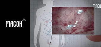 У пошуках знань. Тестостерон. Гормон агресії? У пошуках знань. Тестостерон. Гормон агресії?