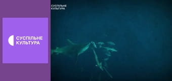 Д/с "Морські хижаки". "Акули Мако".