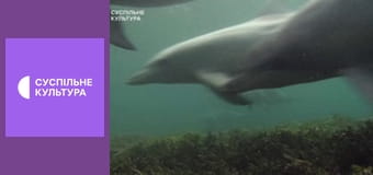 Д/с "Спецназ животного мира". "Специалисты".