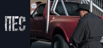 Пес, Сезон 5, Серія 16 Пес, Сезон 5, Серія 16