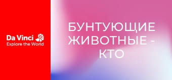 Бунтующие животные - Кто живёт в этой пещере?