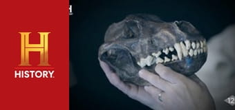 Звезды ломбарда, 24 сезон, 28 эп. Да пребудет с тобой мини-сила.