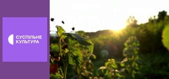 Гімн України.