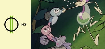 Vízipók-csodapók S1E6 - Hazudik-e a szitakötőlárva?