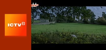 Т/с "Два з половиною чоловіки".