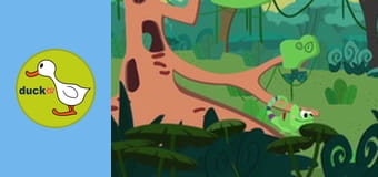 Color Clara - Walk by the Lake