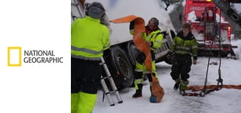 Ледяная дорога S10E1 - Вместе лучше