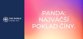 Panda: najväčší poklad Číny. Život v horskej dedine. Čína. Panda: najväčší poklad Číny. Život v horskej dedine. Čína.