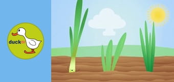 Happy Garden - Onion