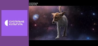 Х/ф "Гамп: пес, который научил людей жить".