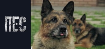 Dog, Season 6, Episode 16