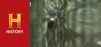 Звезды ломбарда, 25 сезон, 9 эп. Бароны ломбарда.