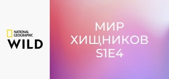 Мир хищников S1E4