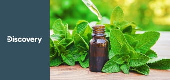 Как это сделано? S16E7