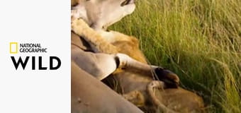 Мара: Возрождение S1E2