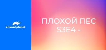 Плохой пес S3E4 - Обезъянье хозяйство