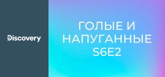 Голые и напуганные S6E2 - Близкие контакты
