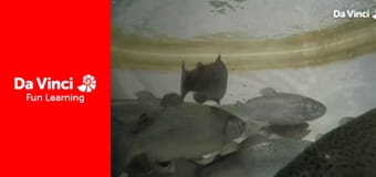 Futuris - Playing Against Diabetes