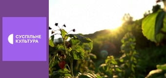 Гимн Украины.