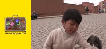 Майстер подорожей. Європа. Французька Рив'єра. Майстер подорожей. Європа. Французька Рив'єра.