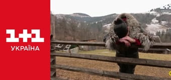 Міняю Жінку S13E11