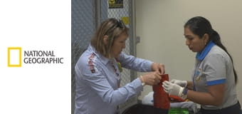 Служба безопасности аэропорта: Перу и Бразилия S6E2 - Пропитанные кокаином