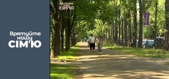 Врятуйте нашу сім'ю - Сезон 1 - Могіла