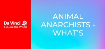 Animal Anarchists - What’s Living in This Cave?