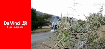 Сіяя - Рушайте з нами - Африканський ріг