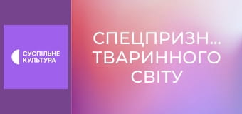 Д/с "Спецпризначенці тваринного світу". "Елітні війська".
